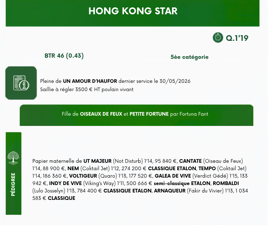 HONG%20KONG%20STAR (1)